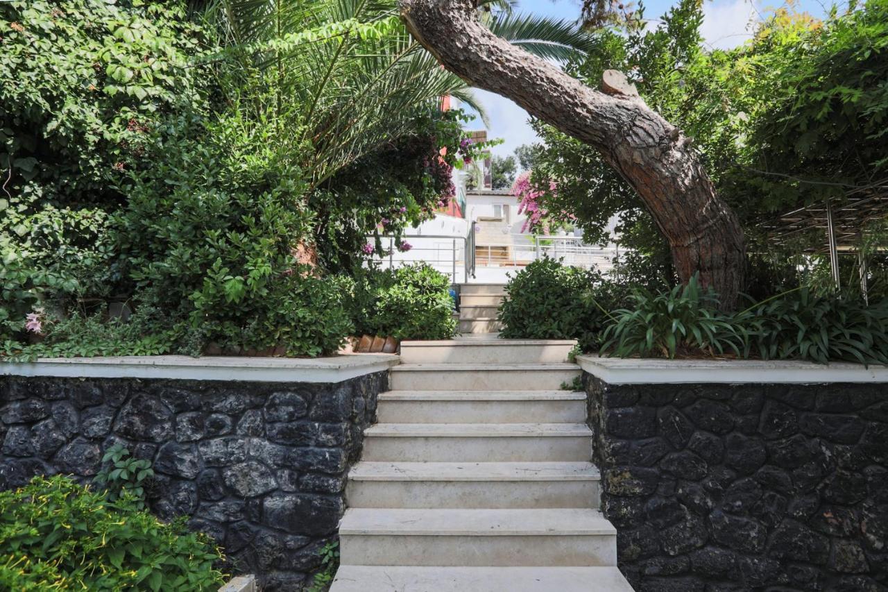 Villa Luxury Mansion In The Heart Of Prince Island